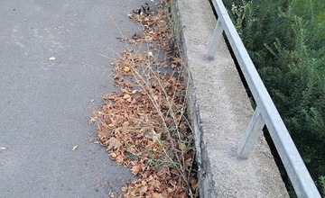 FOTO: Prešovské chodníky sú zarastené a zasahujú do nich konáre. Mesto tvrdí, že pracuje na ich odstraňovaní