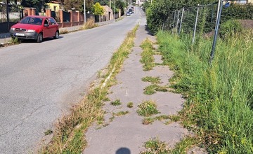 FOTO: Prešovské chodníky sú zarastené a zasahujú do nich konáre. Mesto tvrdí, že pracuje na ich odstraňovaní