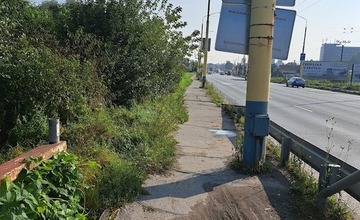 FOTO: Prešovské chodníky sú zarastené a zasahujú do nich konáre. Mesto tvrdí, že pracuje na ich odstraňovaní