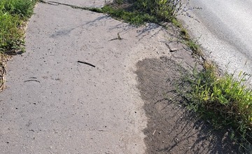 FOTO: Prešovské chodníky sú zarastené a zasahujú do nich konáre. Mesto tvrdí, že pracuje na ich odstraňovaní