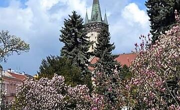 FOTO: Vyberte, ktorá jesenná snímka by sa mala stať našou titulnou fotkou na Facebooku