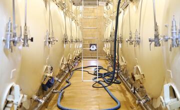 FOTO: Pozrite si zaujímavý proces výroby piva