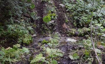 FOTO:  Muž z Brehov mal bez povolenia jazdiť štvorkolkou po území s tretím stupňom ochrany