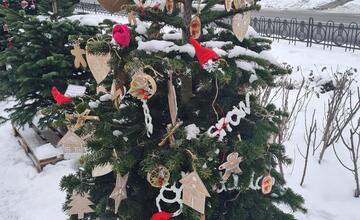 FOTO: Južný park zdobí 12 vianočných jedličiek od prešovských škôl