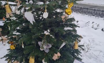 FOTO: Južný park zdobí 12 vianočných jedličiek od prešovských škôl