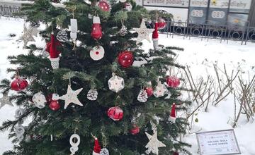 FOTO: Južný park zdobí 12 vianočných jedličiek od prešovských škôl