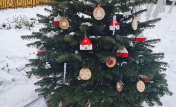 FOTO: Južný park zdobí 12 vianočných jedličiek od prešovských škôl