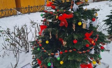 FOTO: Južný park zdobí 12 vianočných jedličiek od prešovských škôl