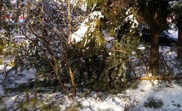 FOTO: Vplyvom počasia popadali v Poprade konáre aj strom