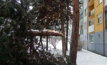 FOTO: Vplyvom počasia popadali v Poprade konáre aj strom