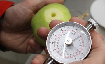 FOTO: Odkiaľ prichádzajú vaše potraviny? Navštívili sme centrálny sklad Kauflandu