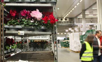 FOTO: Odkiaľ prichádzajú vaše potraviny? Navštívili sme centrálny sklad Kauflandu