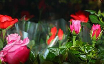 FOTO: Odkiaľ prichádzajú vaše potraviny? Navštívili sme centrálny sklad Kauflandu