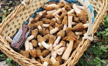 FOTO: Hubári v Prešovskom kraji už zahájili sezónu