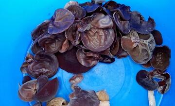 FOTO: Hubári v Prešovskom kraji už zahájili sezónu