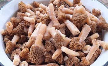 FOTO: Hubári v Prešovskom kraji už zahájili sezónu