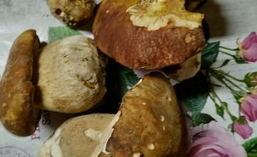 FOTO: Hubári v Prešovskom kraji sa vytešujú z ďalších úlovkov