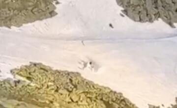 FOTO: Takto vyzeral pád vrtuľníka v blízkosti Chaty pod Rysmi