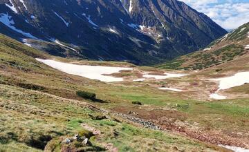 FOTO: Fotografie zo sčítania kamzíkov v Tatrách 