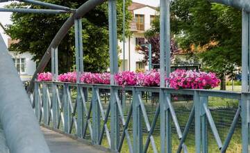 FOTO: kvietocky poprad