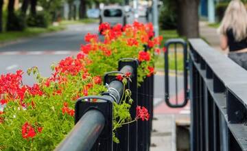 FOTO: kvietocky poprad