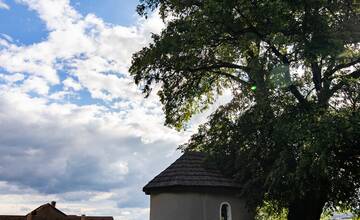 FOTO: Lipa svätej Juliany z Ordzovian bojuje v súťaži Strom roka 2024