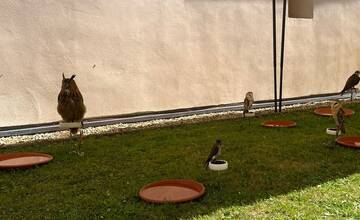 FOTO: 32. ročník festivalu EĽRO