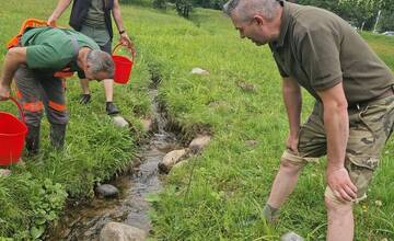 FOTO: V Tatranskej Lomnici sa nachádzali stovky rakov