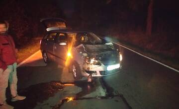 FOTO: Zrážka osobného auta a jeleňa medzi Štrbou a Lučivnou