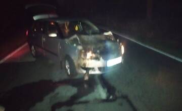 FOTO: Zrážka osobného auta a jeleňa medzi Štrbou a Lučivnou