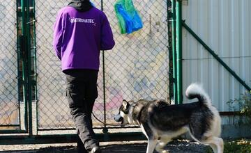 FOTO: Deň v breznianskom útulku Tuláčik
