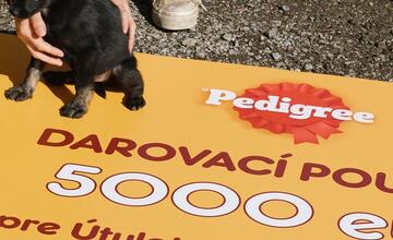 FOTO: Deň v breznianskom útulku Tuláčik