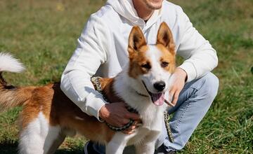 FOTO: Deň v breznianskom útulku Tuláčik