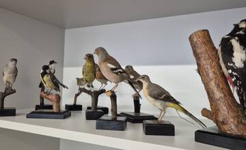 FOTO: Centrum voľného času v Snine otvára dve nové moderné triedy pre deti