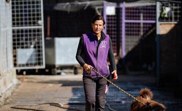 FOTO: Deň v breznianskom útulku Tuláčik