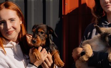 FOTO: Deň v breznianskom útulku Tuláčik