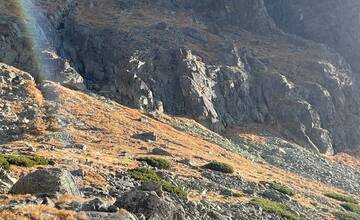 FOTO: V Tatrách prebehlo jesenné sčítanie kamzíkov