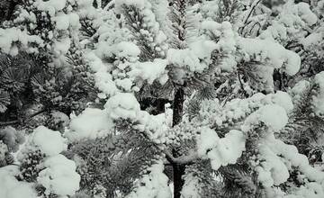 FOTO: Tatranskú Lomnicu už zdobí prvý sneh