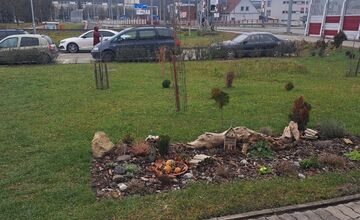 FOTO: Prešovčania si skrášlili okolie bytovky
