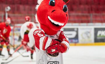 FOTO: Maskot Preško je opäť doma