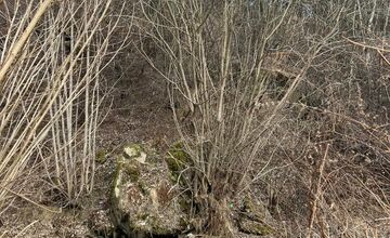 FOTO: V obci Kolačkov hrozí zosuv pôdy