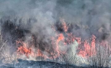FOTO: Pri Stráňach pod Tatrami opäť horel lesný porast