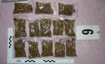 VIDEO: Polícia vyrazila dvere dílerovi vo Vranove, našli množstvo drog