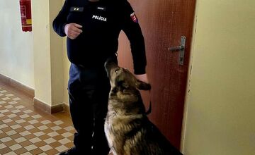 FOTO: Policajti so psom prehľadali školu v Prešove, medzi žiakmi hľadali drogy