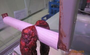 FOTO: Inšpektori kontrolovali predajne potravín. Našli v nich pleseň, špinu aj papriku plnú pesticídov