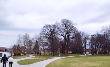 FOTO: Správca Pánskej záhrady má obdiv celej štvrte. Park žiari čistotou