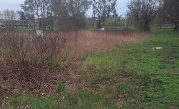FOTO: Riaditeľka Kauflandu prekvapila Prešovčana rýchlou reakciou