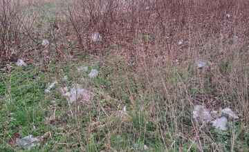 FOTO: Riaditeľka Kauflandu prekvapila Prešovčana rýchlou reakciou