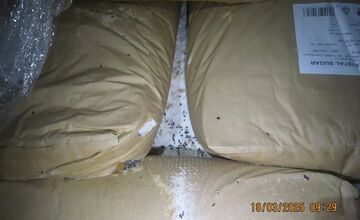 FOTO: Inšpektori kontrolovali predajne potravín. Našli v nich pleseň, mŕtve hlodavce aj trus v potravinách