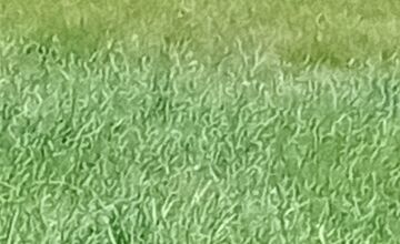 FOTO: V tatranskej turistickej oblasti upozorňujú na pohyb medvedice s mláďatami